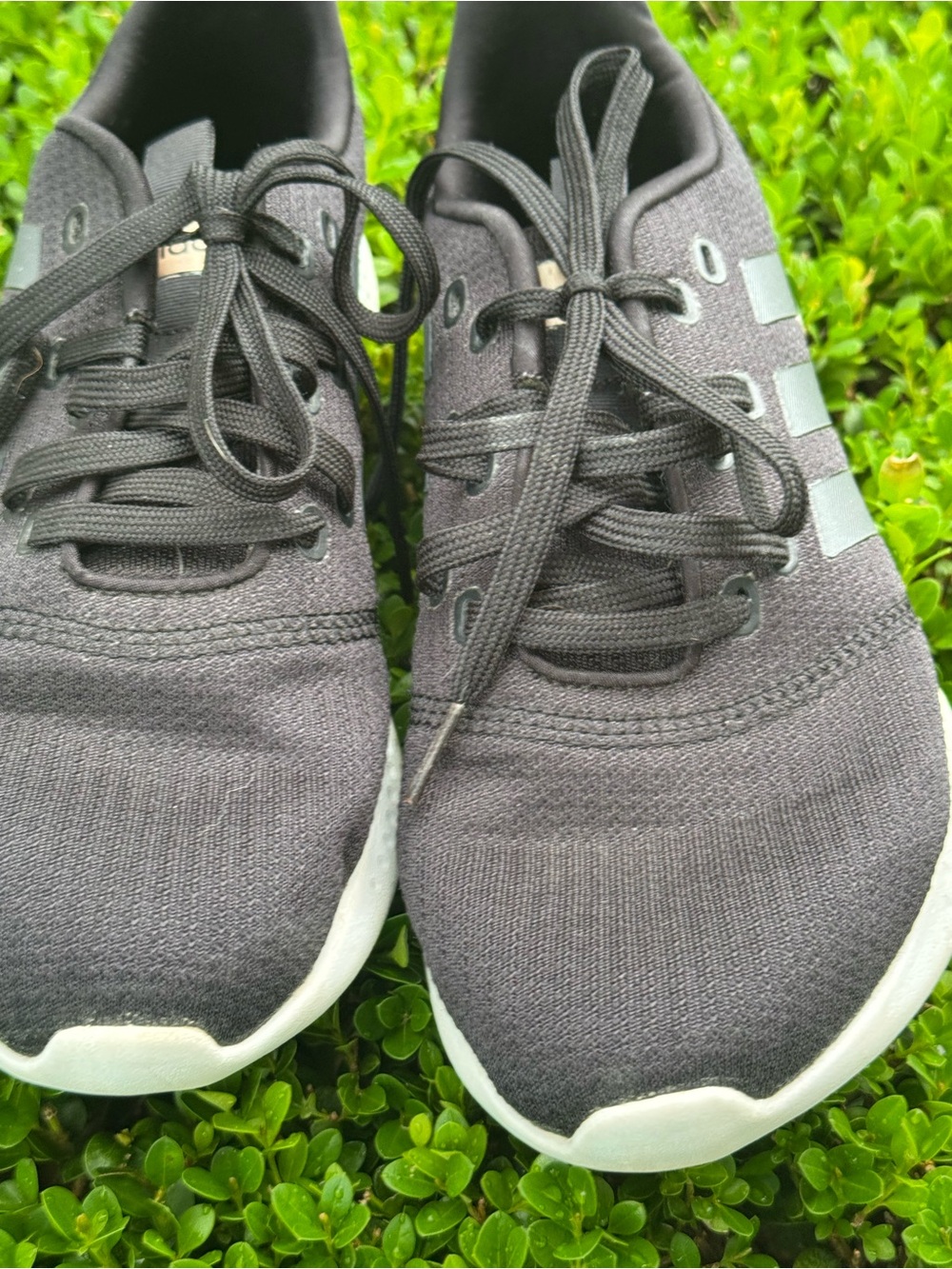 adidas Charcoal Knit Lace-Up Sneakers with White Sole